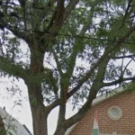 2-bedroom home for rent in Toronto — 2nd Floor - 389 Westmoreland Avenue (Photo 1)