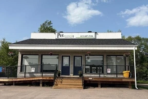 Studio commercial retail home for sale in Renfrew — 3261 Petawawa Boulevard (Photo 1)