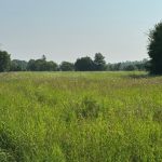 Studio home for sale in South Dundas — 36 Maryvale Avenue (Photo 2)