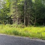 Studio vacant land home for sale in Muskoka — 48 Summer Leigh Trail (Photo 1)