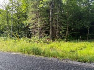 Studio vacant land home for sale in Muskoka — 48 Summer Leigh Trail