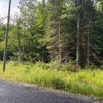 Studio vacant land home for sale in Muskoka — 48 Summer Leigh Trail (Photo 2)