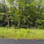 Studio vacant land home for sale in Muskoka — 48 Summer Leigh Trail (Photo 3)