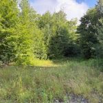 Studio vacant land home for sale in Muskoka — 48 Summer Leigh Trail (Photo 5)