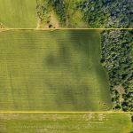 Studio land home for sale in Simcoe — 5231 13th Line (Photo 4)