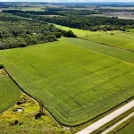 Studio land home for sale in Simcoe — 5231 13th Line (Photo 5)