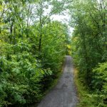 Studio vacant land home for sale in Frontenac — 534 Oak Bluffs Road (Photo 2)