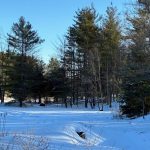 Studio vacant land home for sale in Frontenac — 534 Oak Bluffs Road (Photo 4)