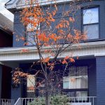 3-bedroom detached home for sale in Hamilton — 61 Stirton Street (Photo 4)