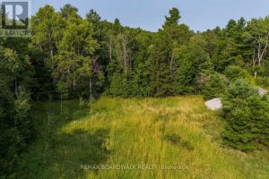 Studio home for sale in Tay Valley — 752 Bennett Lake Road
