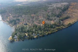 Studio home for sale in Kawartha Lakes — 77 Mcnevan Drive