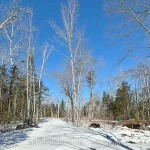 Studio home for sale in Kawartha Lakes — 77 Mcnevan Drive (Photo 2)