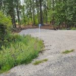 Studio home for sale in Tay Valley — 816 Bennett Lake Road (Photo 5)