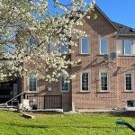 3-bedroom detached home for rent in East Gwillimbury — Basement - 38 Kimberly Court (Photo 1)