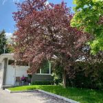2-bedroom semi-detached home for rent in Newmarket — Bmnt - 74 Newbury Drive (Photo 1)
