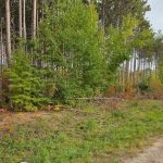 Studio home for sale in Tay — Lot 19 - 75 Windermere Circle (Photo 5)