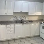 1-bedroom detached home for rent in Barrie — Main Rear - 165 Anne Street S (Photo 4)